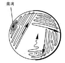 菌种库-菌滴.jpg