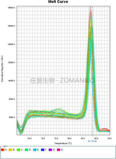 腺相关病毒技术服务ZC5000-图4.png