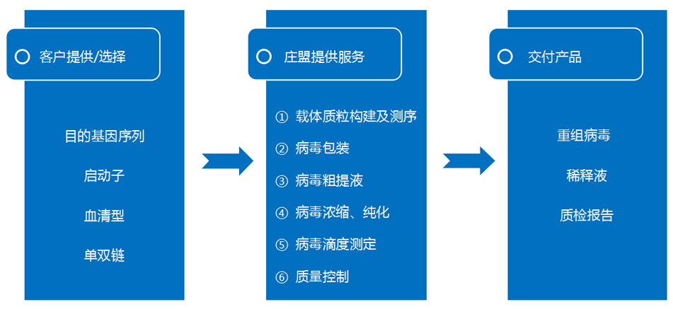 腺病毒ZC5000-1.jpg