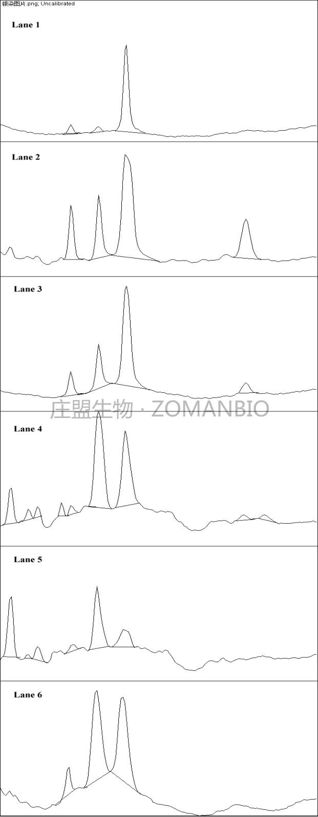 腺相关病毒技术服务ZC5000-图3.png