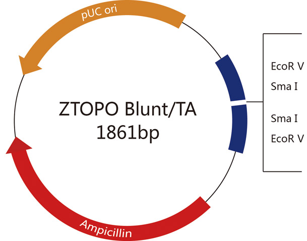 ZC211图谱.jpg