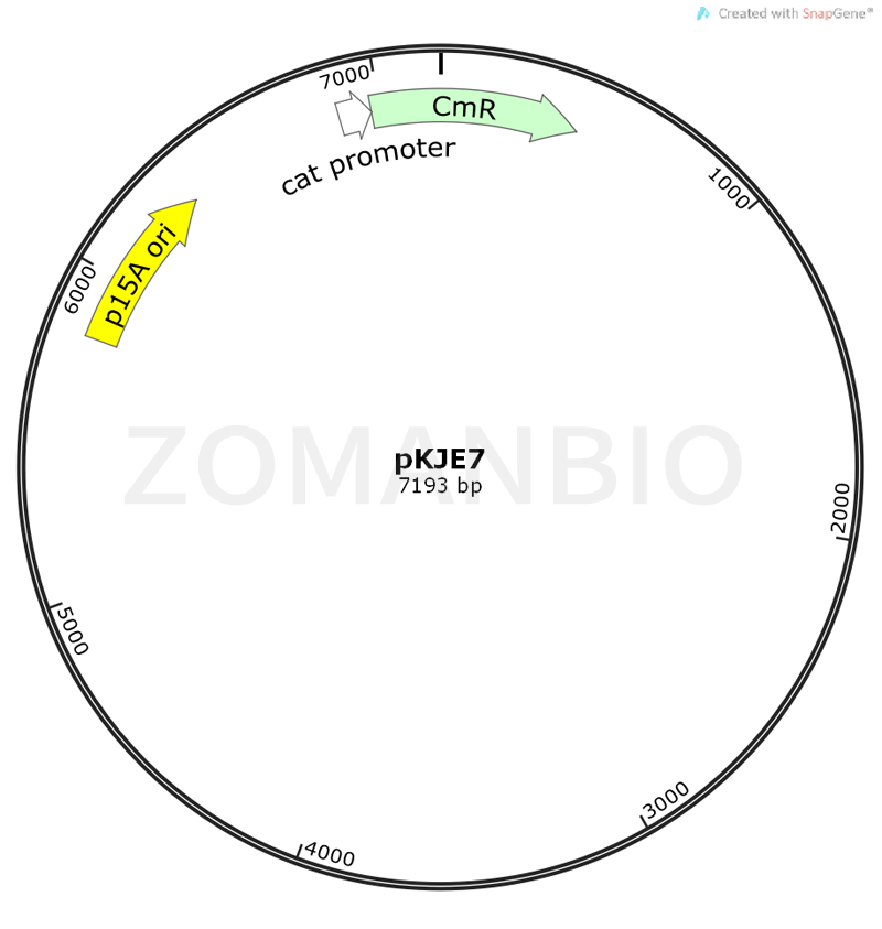 ZK331pKJE7.png