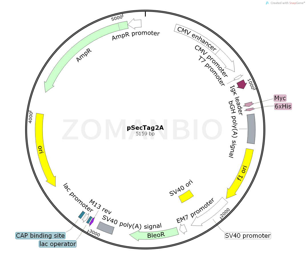 ZK690pSecTag2A.png