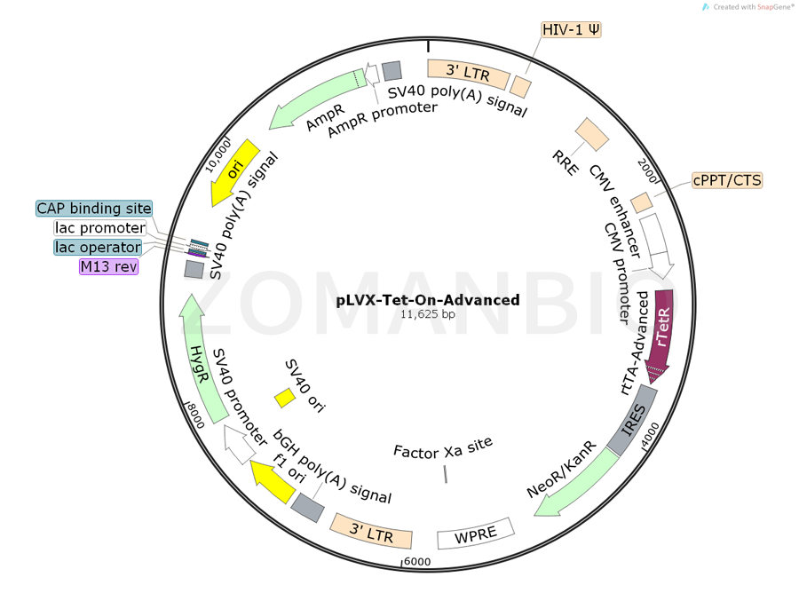 ZK770pLVX-Tet-On-Advanced.png