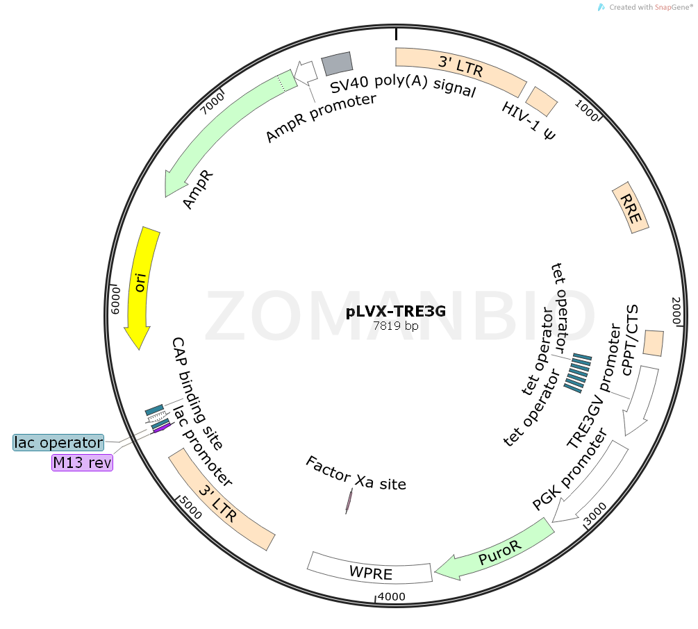 ZK773pLVX-TRE3G.png