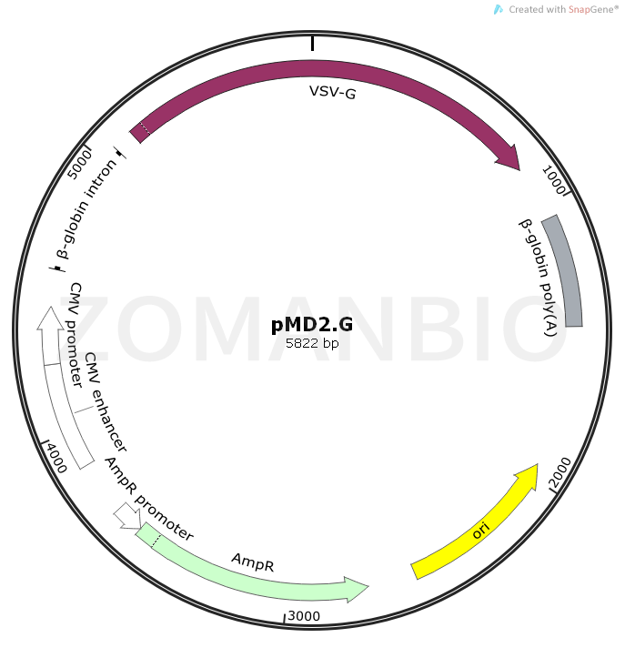 ZK835pMD2.G.png