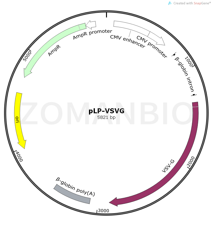 ZK840pLP-VSVG.png