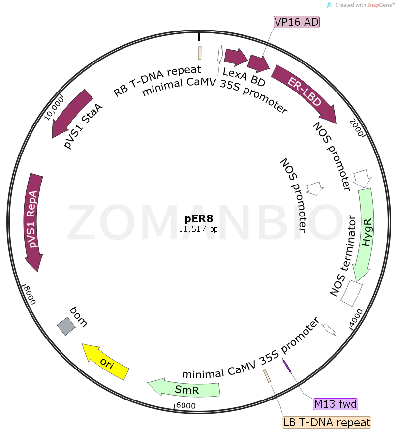 ZK918pER8.png