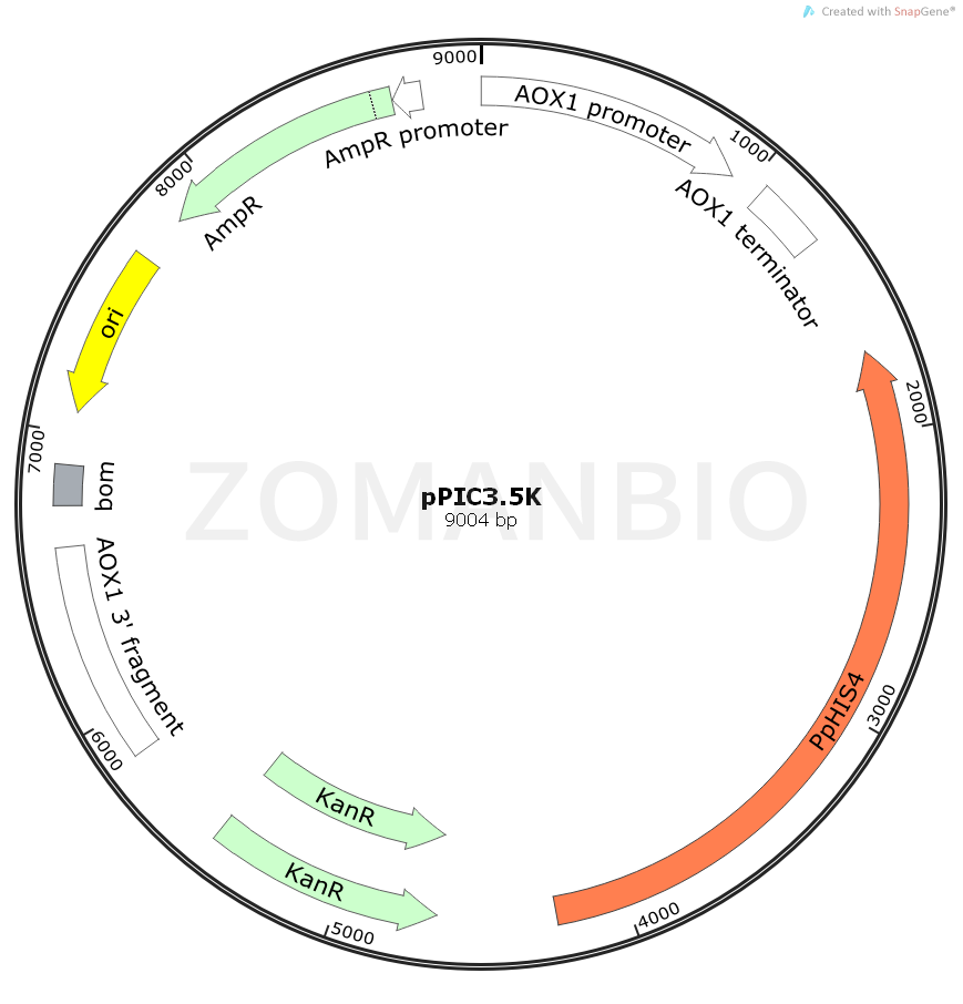 ZK920pPIC3.5K.png