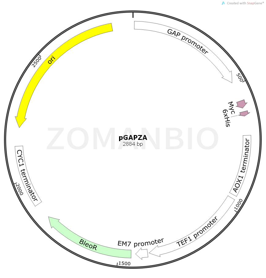 ZK928pGAPZA.png