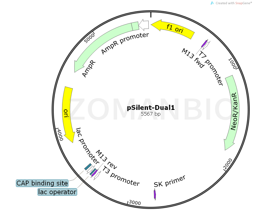 ZK1079pSilent-Dual1.png