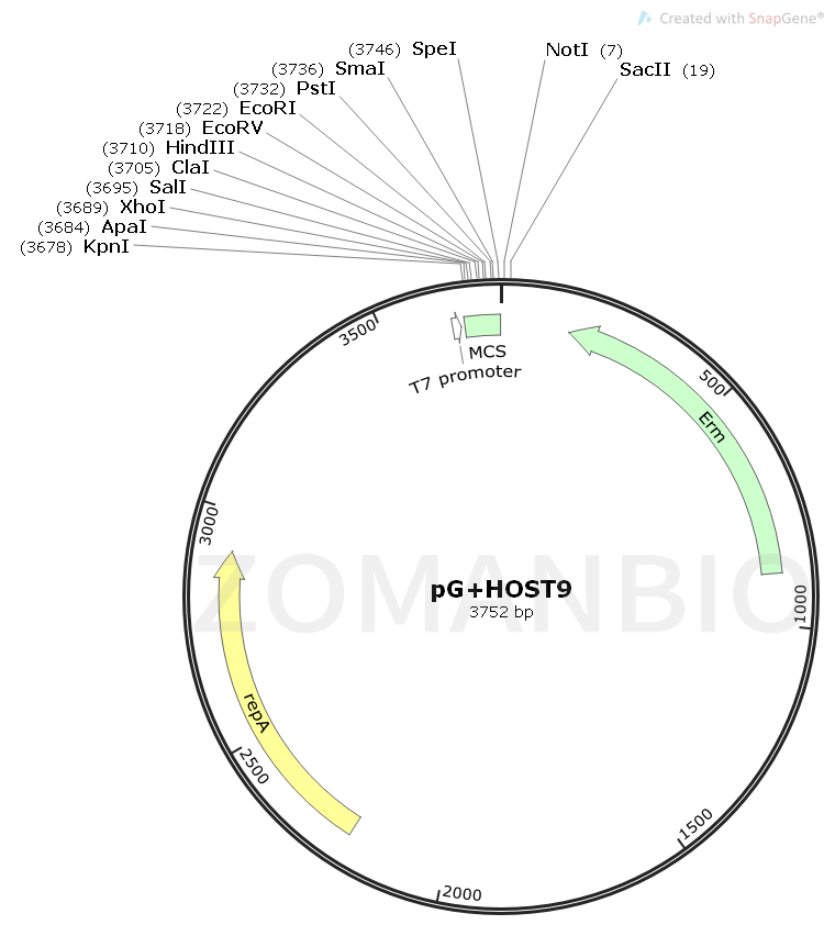 ZK1123pG-host9.png