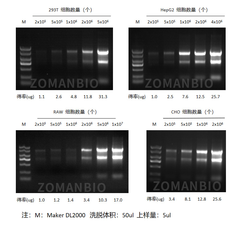 ZP433实验数据.jpg