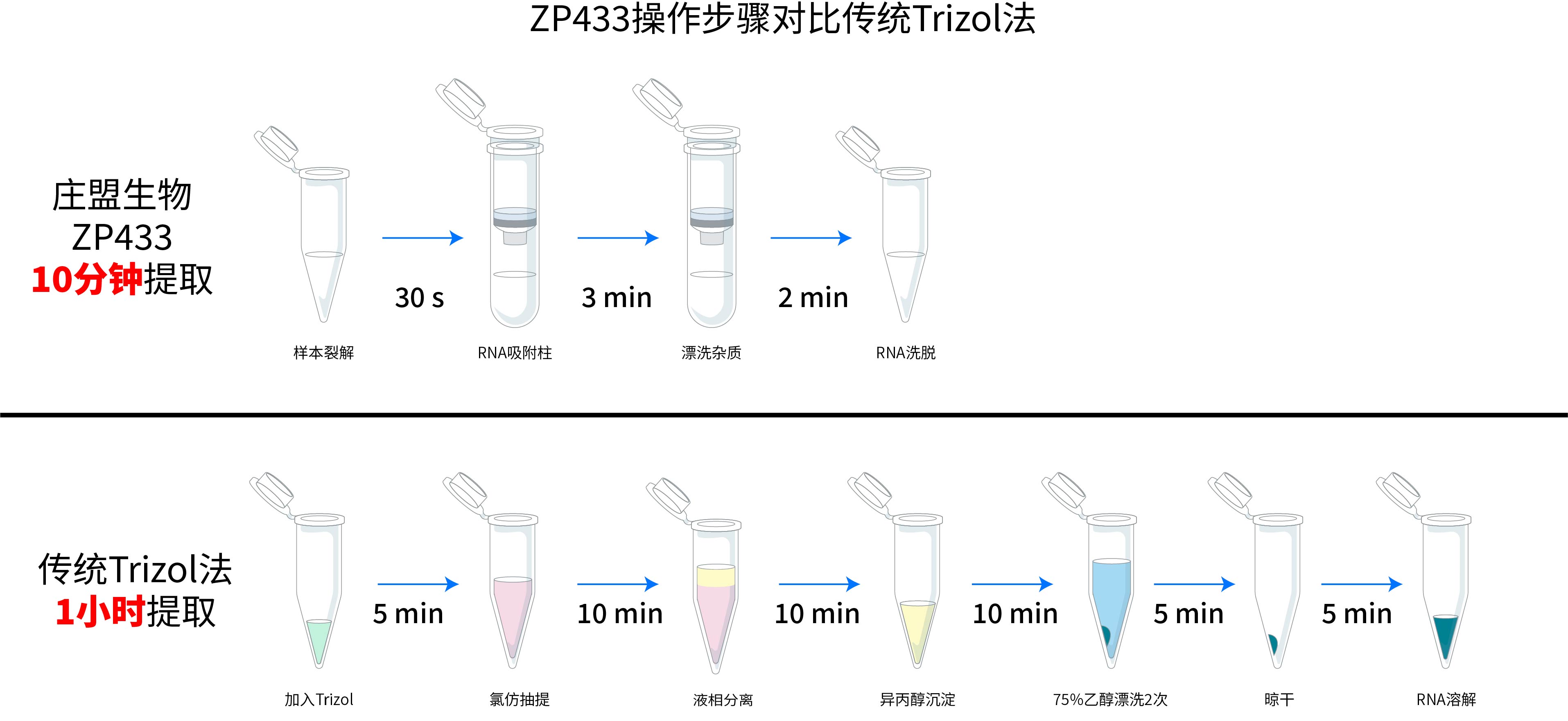 ZP441实验步骤与Trizol对比-02.jpg