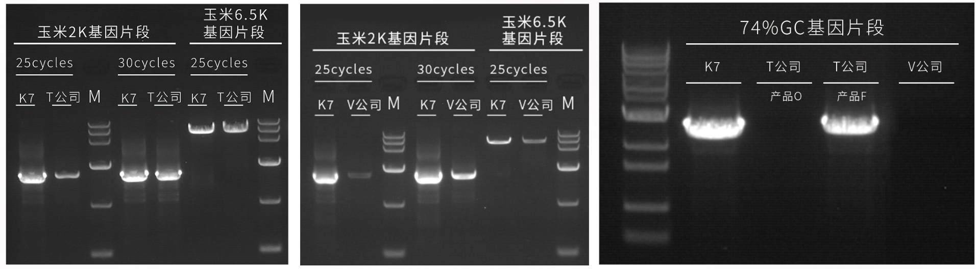 54be029a-00d1-47f0-84d6-a750a4207f1a.png